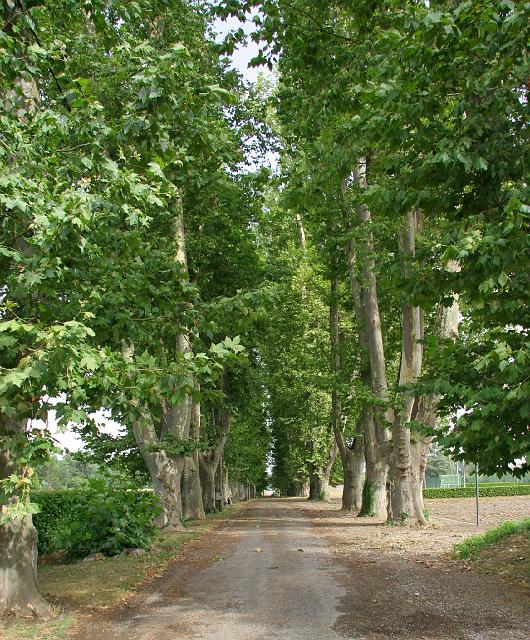 083 Verdun-s-Garonne.JPG
